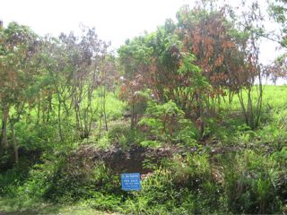 Gentle slope for easy building